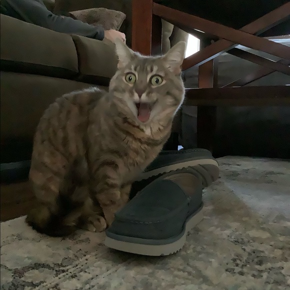 Meet your Posher, Christina - Picture 10 of 16